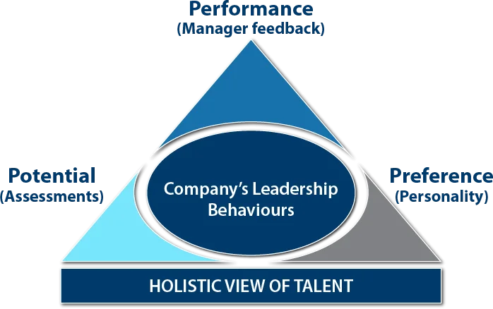 Holistic View of Talent